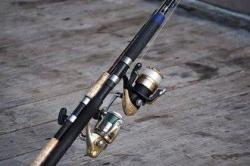 Bien choisir son moulinet pour le surfcasing