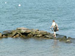 Pêcher le bar du bord : ma première canne