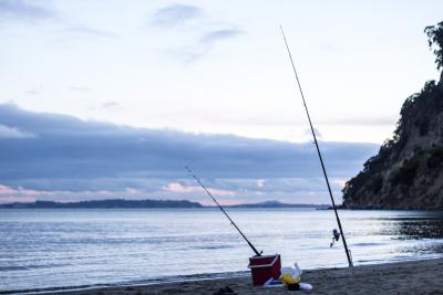 Pêcher la daurade royale en surfcasting