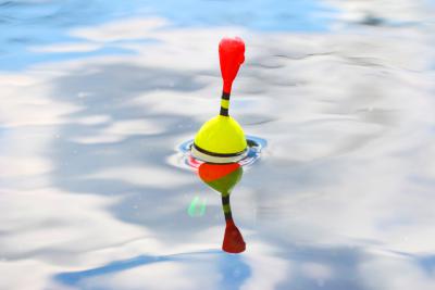 Pêcher la daurade royale au bouchon du bord