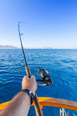 Pêcher le maquereau à la dandinette ou au lancer