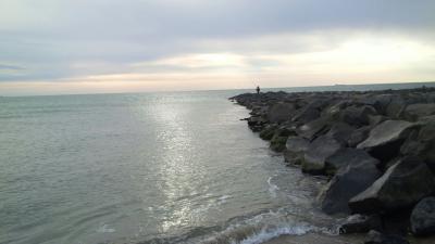 Pêcher le maquereau au lancer du bord