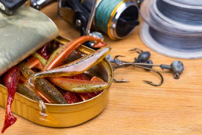 La pêche du lieu jaune aux leurres souples