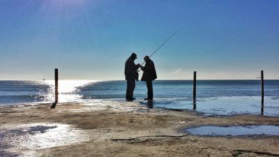 Le bogue (ou Boops Boops)