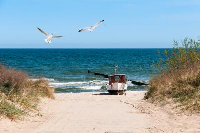 La pêche du calamar à la dandine
