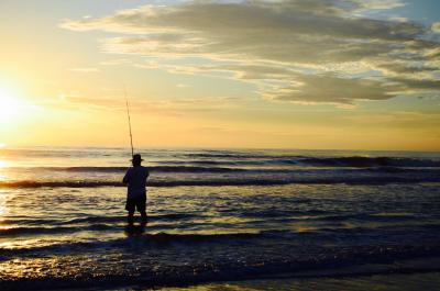 Le bar au lancer-ramener