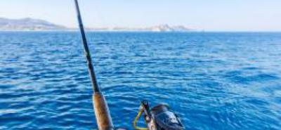 Conseils sur le matériel pour pêcher le maquereau à la dandinette ou au lancer