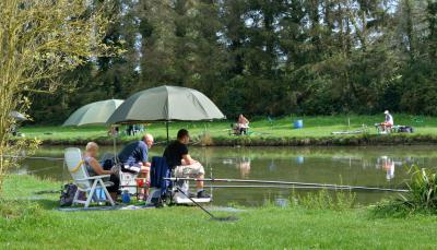 La pêche de la carpe au coup