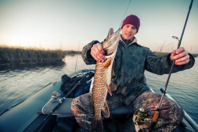 La pêche du brochet au vif