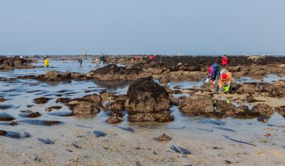 Où et comment trouver des vers ?