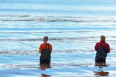 Pêche à la grattée