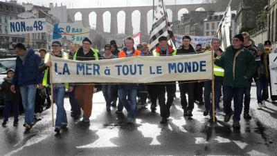 Pêche du bar : la défense s'organise