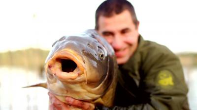 Pêche de la carpe : comment choisir ses bouillettes ?