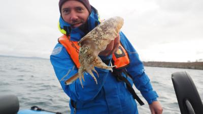 Le secret pour pêcher des seiches et des calamars !