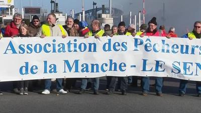 L'avenir de la pêche du Bar en France