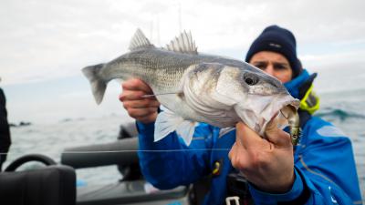 Quel sera le leurre souple de l'été 2019 ?