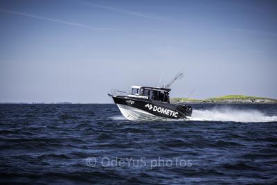 Barracuda Tour 2019 : le résumé du Challenge Amateur avec Dometic !