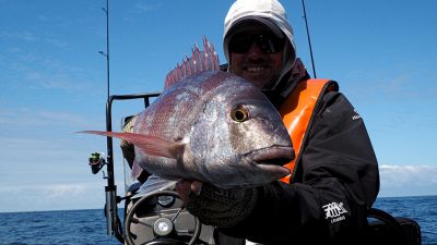 Le meilleur leurre pour pêcher les sparidés ?