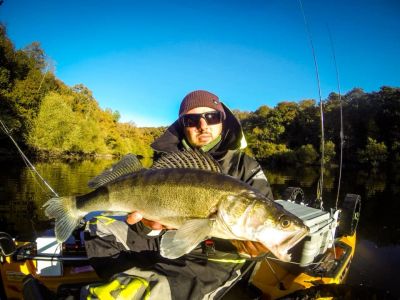 Comment pêcher les plus gros Sandres ?