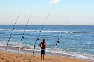 Pêcher le bar en surfcasting