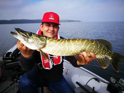 Les Pros ont la parole : les moteurs adaptés à la pêche en lac