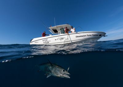 Les Pros ont la parole : les moteurs adaptés à la pêche sportive en mer