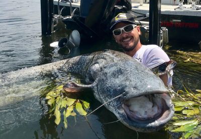 Les pros ont la parole : les moteurs adaptés à la compétition