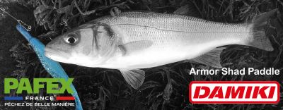 DAMIKI : Armor Shad Paddle : un leurre qui prend sa place en 2020.