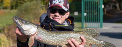 FFPS Carnassier : une fédération à fabriquer des champions ?