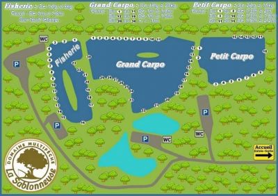 Découvrir l'étang la sabloneuse