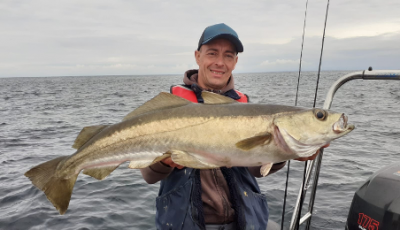 Pêcher le lieu et le bar en courant et en profondeur texan articulé