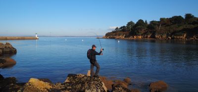 Préparez-vous au retour de la pêche au bar début avril !