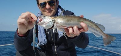 La pêche au merlu en grandes profondeurs