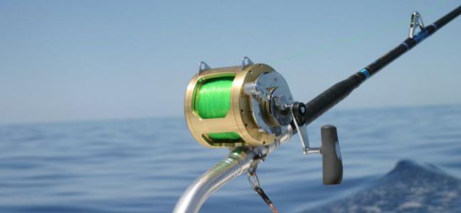 La pêche à la ligne flottante : la pêche à l'anglaise