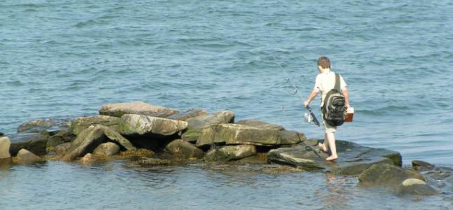 Pêcher le bar du bord : ma première canne