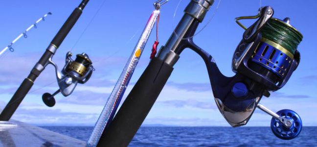 Pêcher le maquereau à la traîne