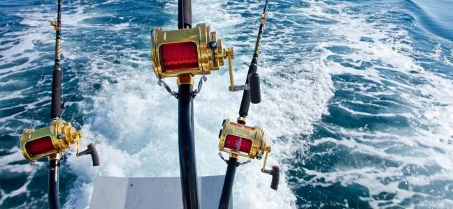 Pêcher le bar à la traîne