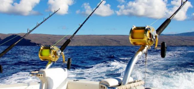 La pêche de la liche à la traîne