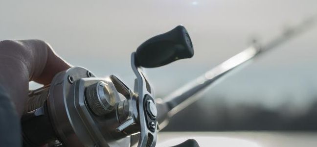 La pêche au broumé