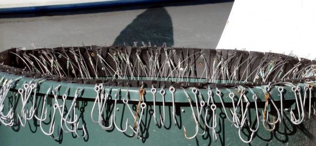 La pêche à la palangrotte