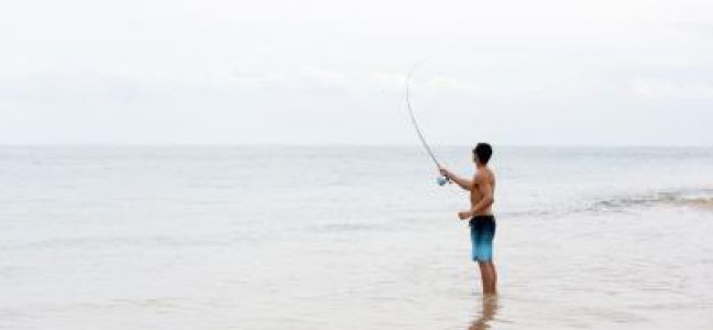 Pêcher le bar à la mouche