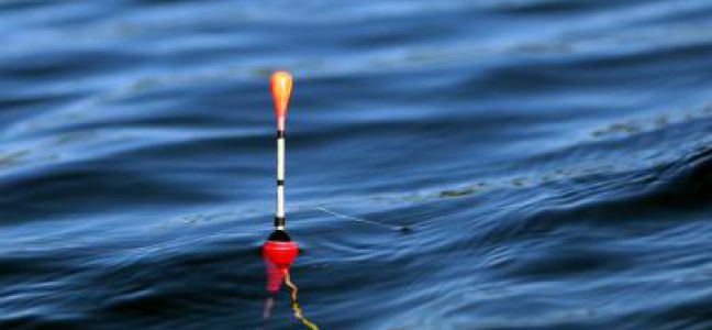 Pêche à la daurade royale au bouchon à la dérive