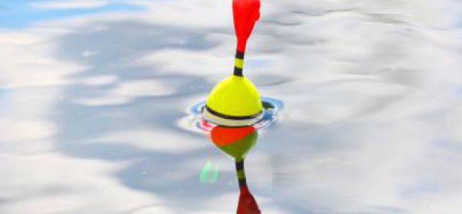 Pêcher la daurade royale au bouchon du bord