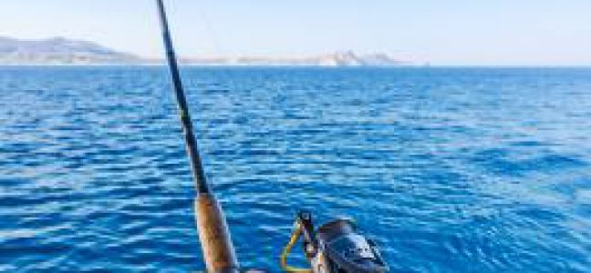 Pêcher le maquereau à la dandinette ou au lancer