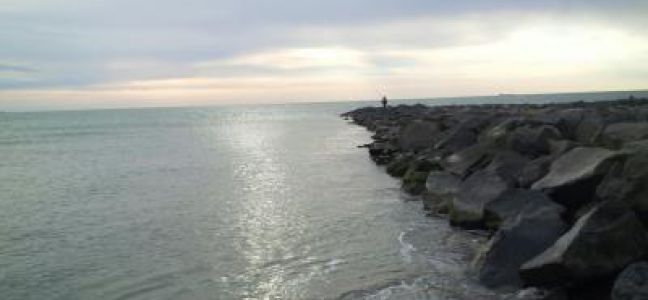 Pêcher le maquereau au lancer du bord