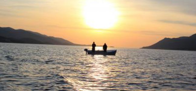 Pêcher le bar à soutenir