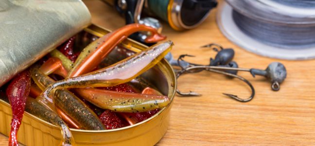 La pêche du lieu jaune aux leurres souples