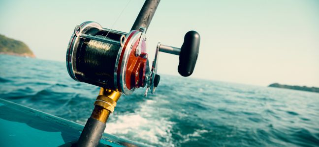 Pêche le lieu jaune à la traîne lourde