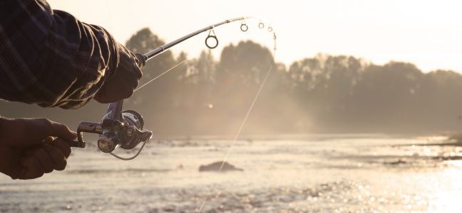 Techniques de pêche du bar ou loup