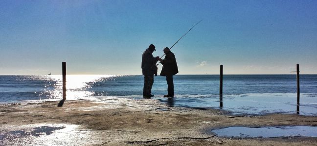 Le bogue (ou Boops Boops)